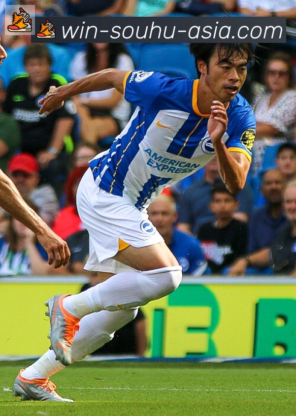 普利西奇